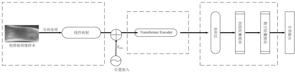 指靜脈識別模型訓練方法及識別方法、系統(tǒng)和終端