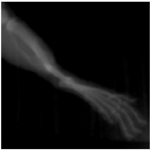 一種治療骨折的中藥貼膏劑及其制備方法